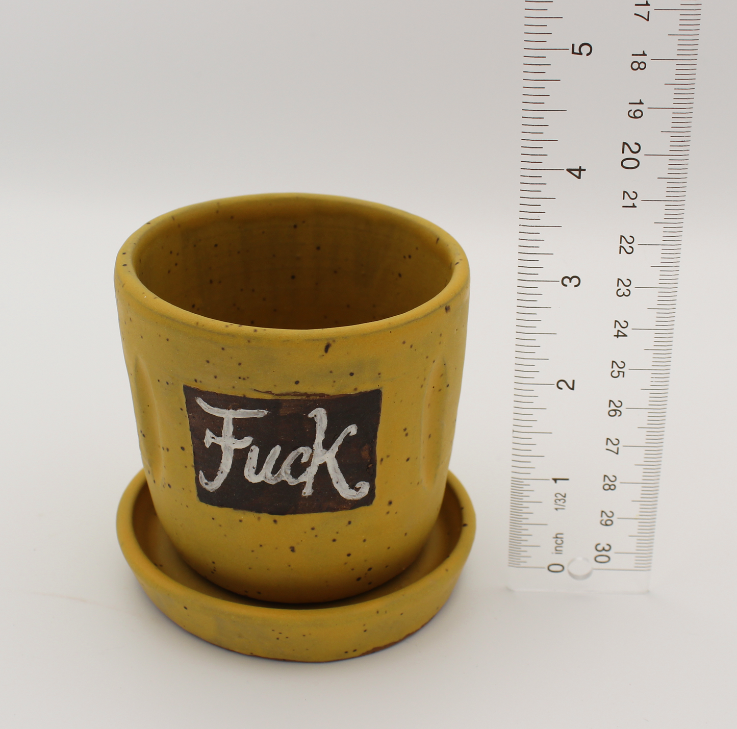 Explicit Stoneware Planter with Water Tray